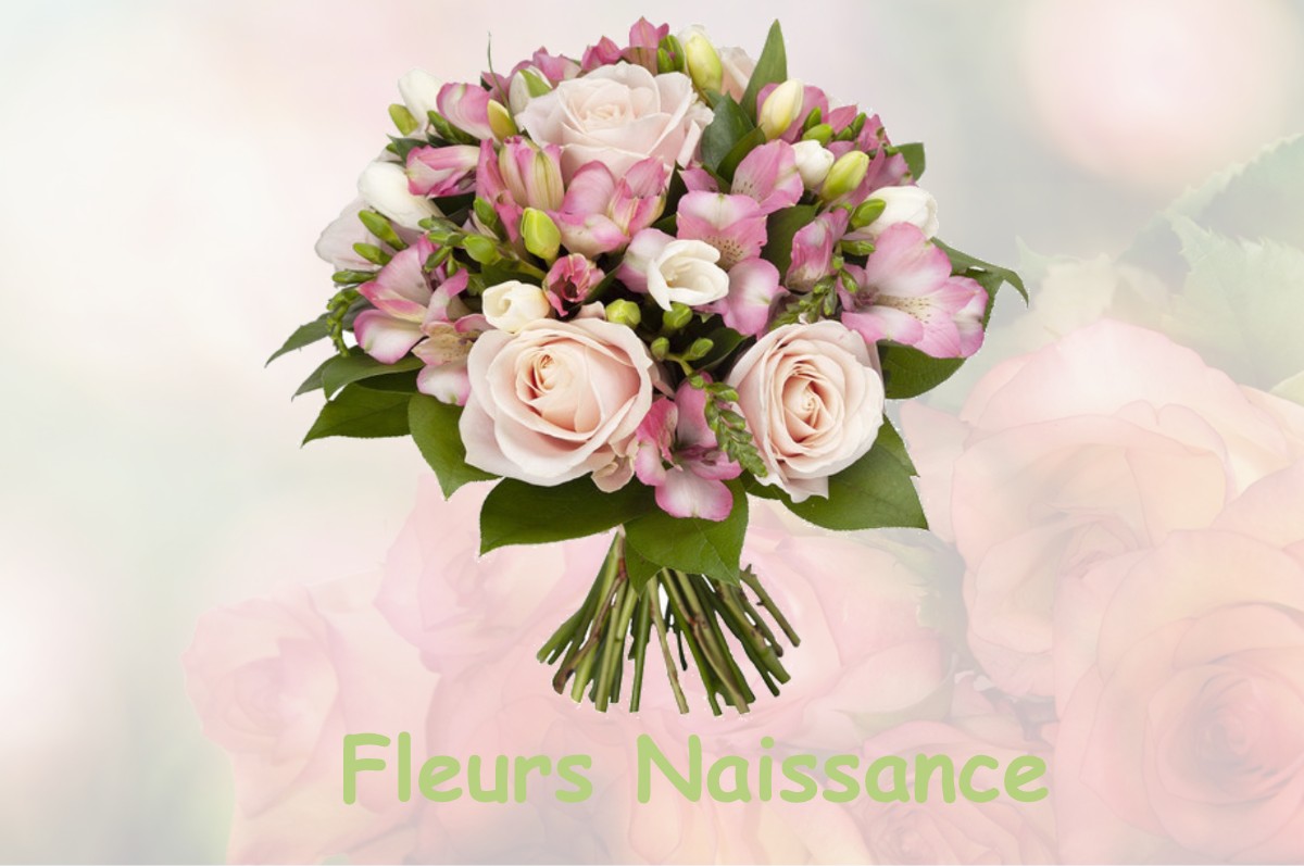 fleurs naissance SAINT-GEORGES-D-AUNAY